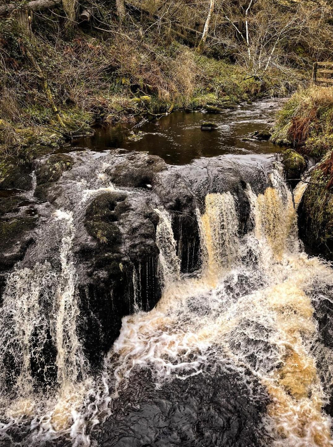 Glenariff Forest Evergreen Lodge 外观 照片